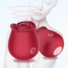 Rose Blossom Vibrator – Suction & Vibration Clitoral Massager WB02