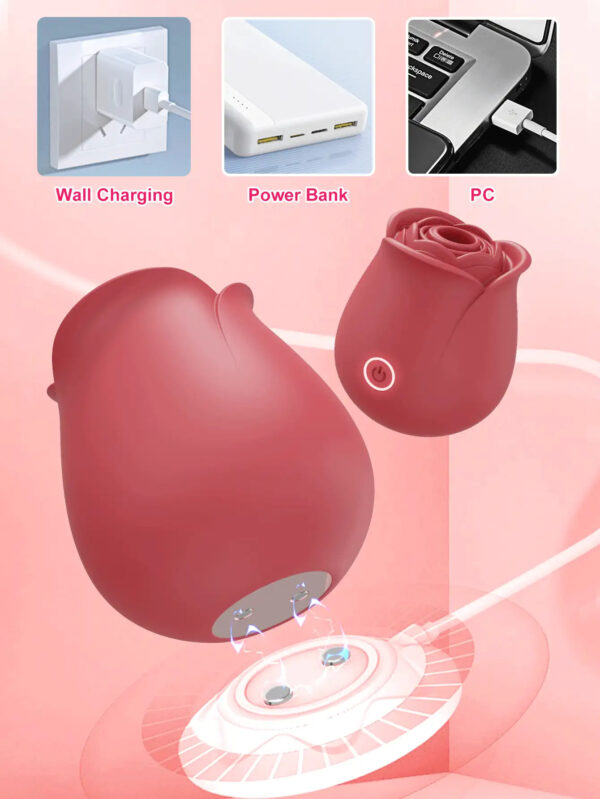 Rose Blossom Vibrator – Suction & Vibration Clitoral Massager WB02